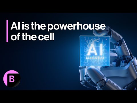 Markets Live: Forget Tariffs, It’s All AI-Led Growth