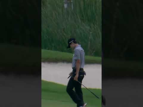 54 feet? A walk in the Park ⛳