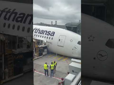 787 Dreamliner Collapses at Airport Gate #shorts
