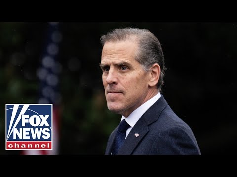 ‘LFG’: Hunter Biden signals possible 2028 run