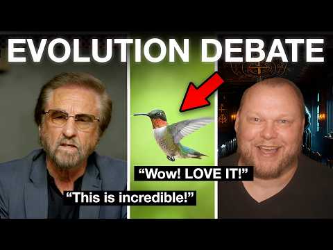 Watch a Hummingbird DESTROY Evolution