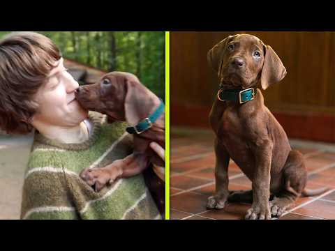 Netflix’s Scooby-Doo Introduces REAL PUPPY Playing Iconic Dog for ‘Origins’