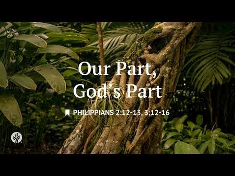 Our Part, God’s Part | Audio Reading | Our Daily Bread Devotional | June 2, 2026
