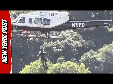 NYPD Make Dramatic Arrest After Man JUMPS in Central Park Lake to Evade Cops