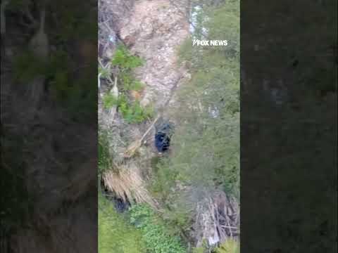 Drone shows arson suspect in California fire