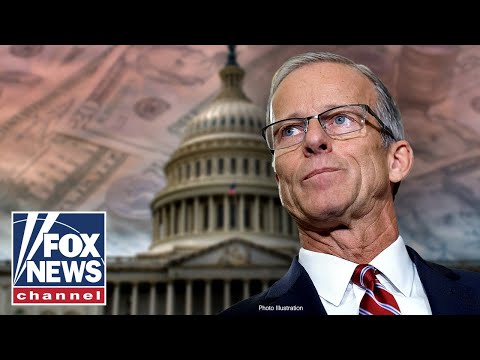 Sen. Thune issues MAJOR warning: ‘We’re in big trouble’