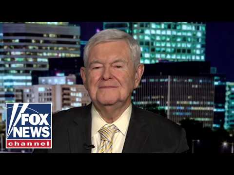 Newt Gingrich: These people are CRAZY