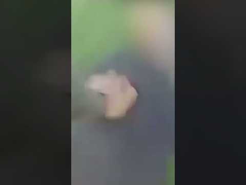 WATCH: Dangerous Chase Through Texas Leads to Gang Member Arrests #shorts