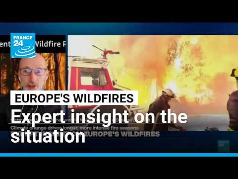 ‘We see a longer fire season nearly everywhere’: Insight on Europe’s wildfires • FRANCE 24 English