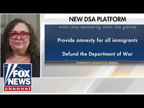 THIS IS INSANE’: Hosts STUNNED by DSA official’s radical ideas
