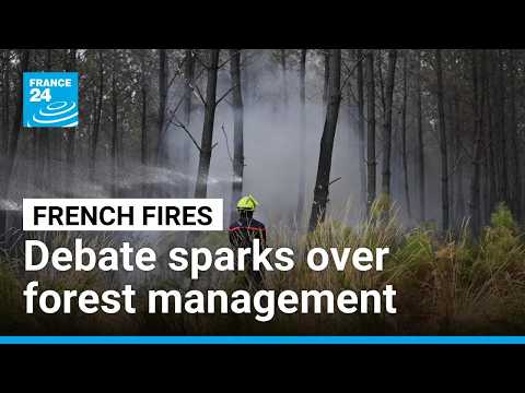 Monster fires spark debate over France’s forest management • FRANCE 24 English