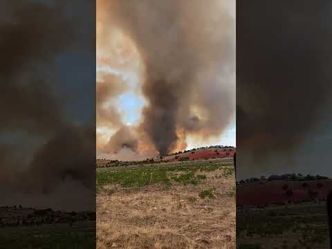 Towering Smokenado Emerges From Utah Wildfires: Evacuations Issued #shorts