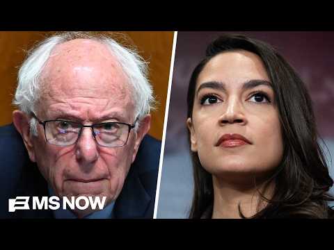Can Democratic Socialists win nationwide? Watch our panel debate the divide in the party