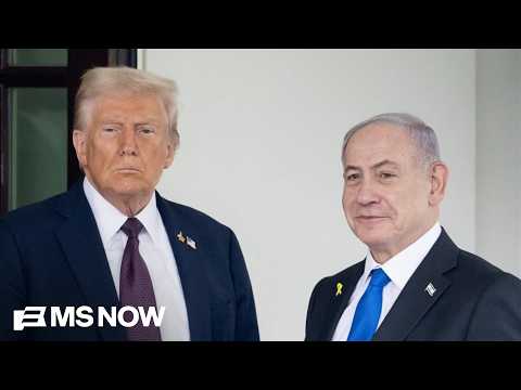 Hamas ‘unlikely to actually disarm’ despite Trump announcing deal: Middle East expert
