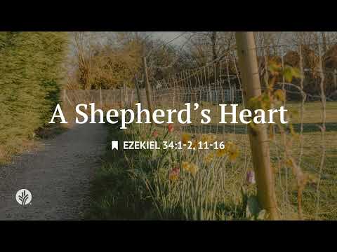 A Shepherd’s Heart | Audio Reading | Our Daily Bread Devotional | July 4, 2026