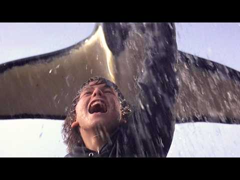 Free Willy REBOOT! What We Know About the New Movie