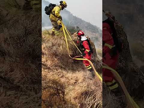 Desperate Firefighters Pull Water from Pool to Battle DEADLY Wildfires in Spain #shorts