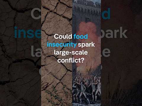 Could food insecurity spark ‘large-scale conflict’? | DW News