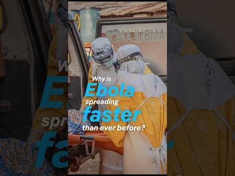 Why is Ebola spreading faster than ever before? | DW News