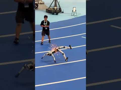 Robot Athlete Turns Into Crash Test Dummy After Smacking Into Wall #shorts