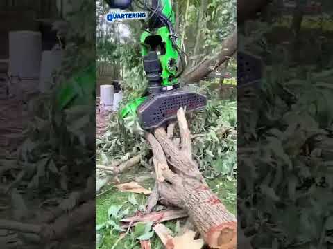Tree Trimmer Makes A Dangerous Job Look Completely Effortless #TreeTrimming #Arborist #Precision #Sk