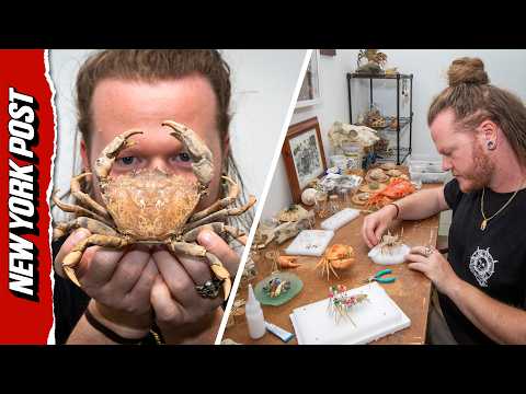 People Are Paying Hundreds to Stuff Their Dead Pet Crabs