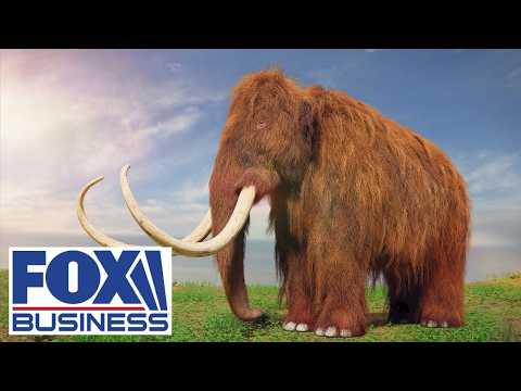 We are a few years away from bringing back the WOOLLY MAMMOTH, says Colossal Biosciences founder