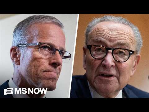 ‘No path’ for Dems to have Senate majority if they lose Michigan: Lemire