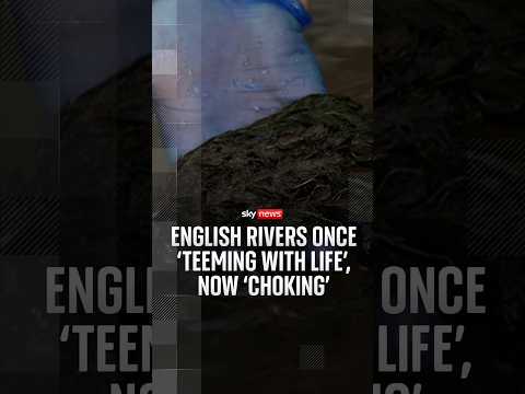 English rivers once ‘teeming with life’, now choking