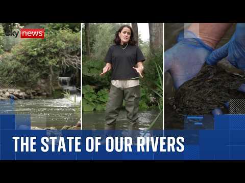 England’s rivers in crisis as only 14% meet ‘good’ health standards