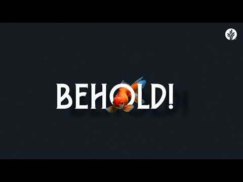 Behold!