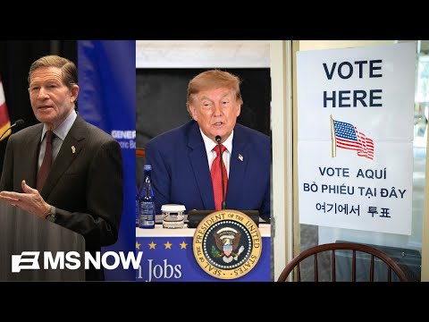 ‘Patterns of assault on free & fair elections’: Top Dem on Trump’s efforts to interfere in midterms