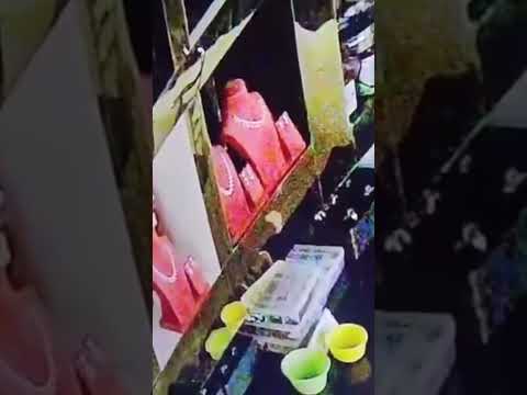 Rat Accused of $12K Jewelry Heist After CCTV Revelation #shorts