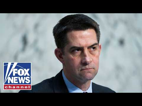 ‘DIVIDE AND INFLAME’: Sen Cotton WARNS of foreign ‘enemies’ allegedly funding radical groups