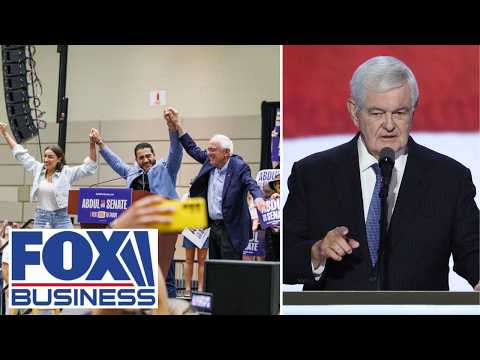 Newt Gingrich: THEY are becoming the ‘AMNESIA PARTY’