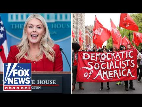 Karoline Leavitt: DSA should be called ‘DESTRUCTIVE SOCIALISTS OF AMERICA’