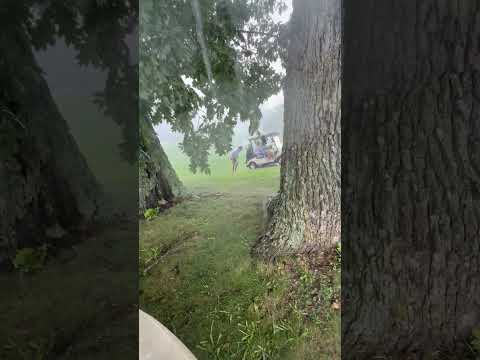 Shocking moment golfer struck by lightning #shorts