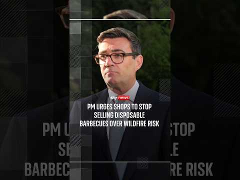 PM urges shops to stop selling disposable barbecues over wildfire risk