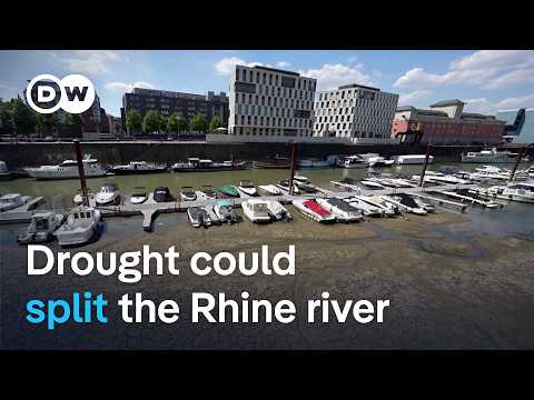 Why some cargo ships can no longer navigate Europe’s busiest trade route | DW News