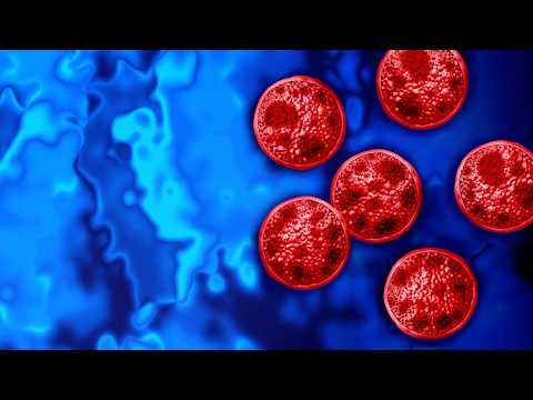 Cyclospora Outbreak Puts Food Safety to the Test