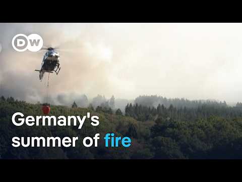 Fighting Germany’s wildfires complicated by unexploded WWII munitions | DW News