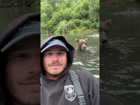 Wild video shows grizzly bear snag salmon inches from boater #shorts