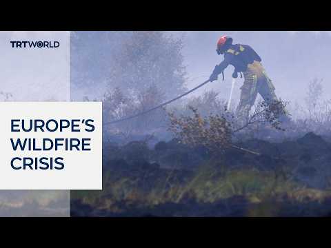 Europe experiencing severe wildfire season after heatwaves