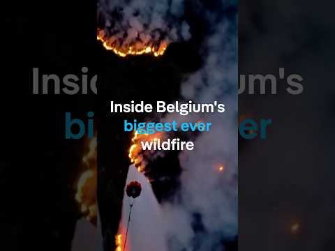 Inside Belgium’s biggest ever wildfire | DW News