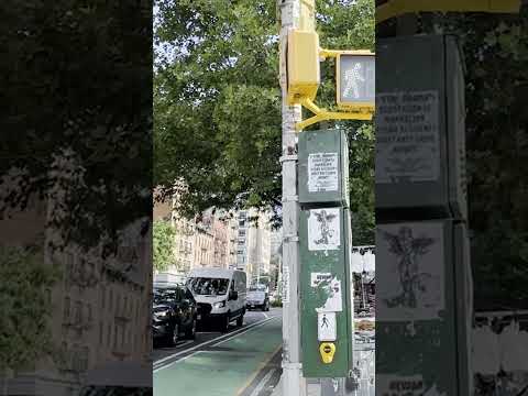 Ugly antisemitic, racist and homophobic flyers spotted on Manhattan’s West Side #shorts