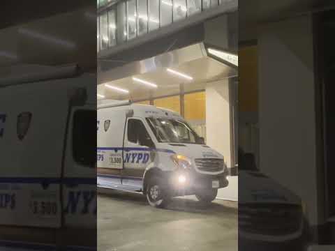 Fatal stabbing at luxury NYC apartment building #shorts