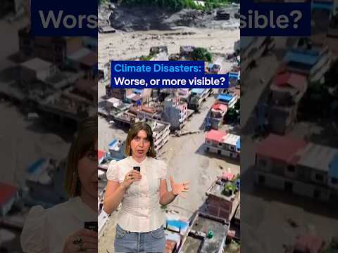 Are natural disasters getting worse? | DW News
