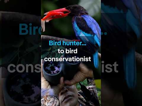 From bird hunter to bird conservationist | DW News