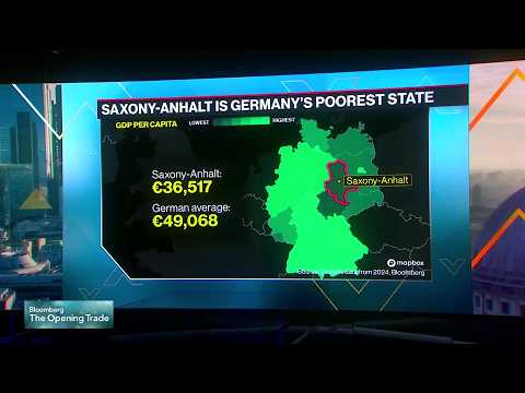 Germany’s AfD Stirs Fears Ahead of Saxony-Anhalt Election