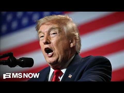 ‘We’re going to win’: House Dem touts ‘new generation’ ready to end Trump’s ‘circus’